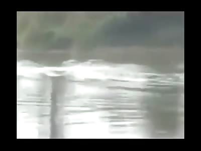 Elephant Comes On Shore to Kill a Man in Front of Many People 