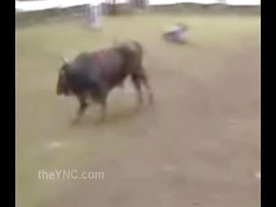 Mans Guts Pouring out of his Stomach After a Bull Rips Him Up