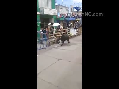 Bull Makes Short Work of a Man on the Street