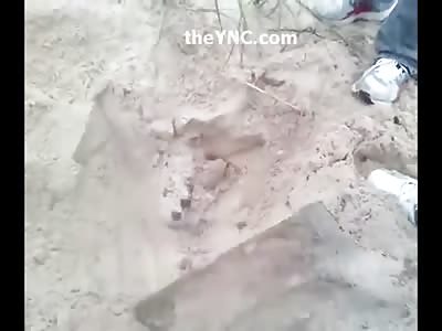 WOW...Good People Rescue a Dog that was Buried Alive in the Sand 