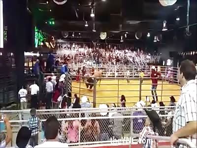 Man Gets Knocned Out and Then Trampled by Bull