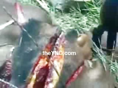 Bizarre Video shows 2 Tribesmen Sliced up with Machete Stuck in one Stomach