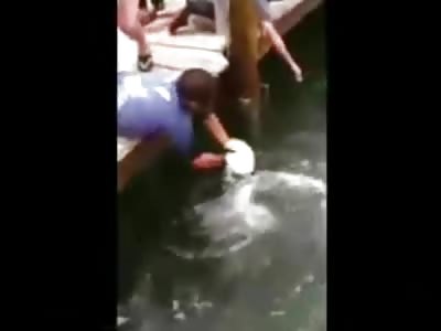 VERY COOL: Redneck Guy Catches HUGE Fish with his Bare Hands
