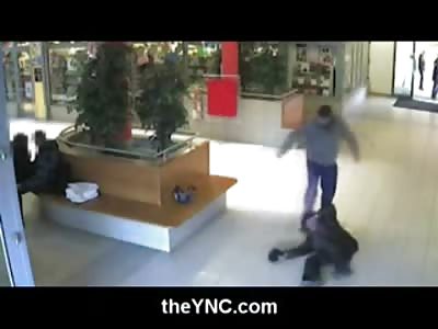 Probably the Most Brutal Random Attack you May Ever See in Public, No One Helps