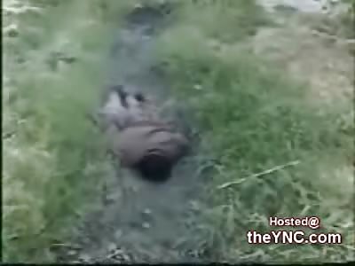 New Video shows Execution of 3 Females and a Male by an Allegded Death Squad Member (18 + Only)