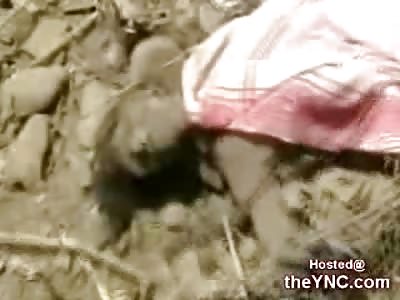 Shocking Video of Children Suffering after a Bomb Attack in Yemen