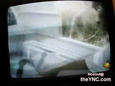 Mexican Police Stomp a Suspect in the Back of a Pickup