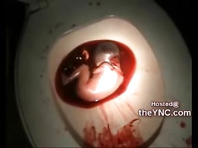 Extremely Graphic Video: Miscarriage found in Toilet of Restaurant (High Warning!!)