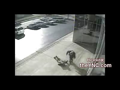 HAHA: Lady Knocks Herself Out Cold Breaking Her Jaw on the Concrete Sidewalk