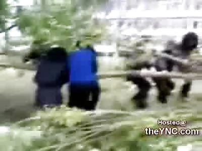 Heh: Russian Cop tries taking on a Tree