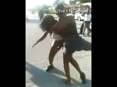 Boobs...Weaves, 2 Well Built Black Girl Warriors Battle in the Road