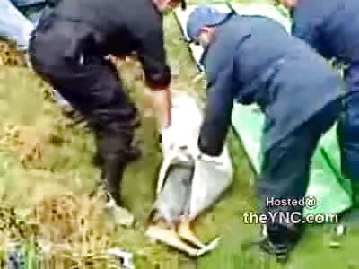 Mexican Man Sawed in Half Pulled from River...