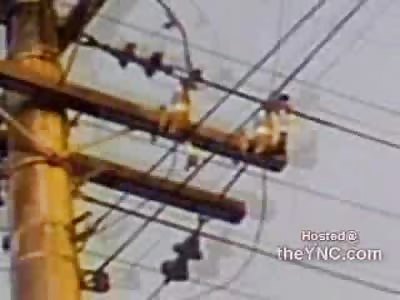 Poor Guy Electrocuted To Death Working on Pole Lines
