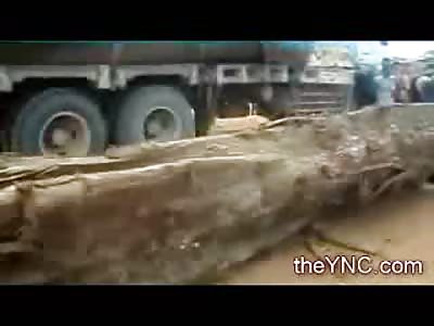 Lumberjack Crushed to Death by a Giant Tree Log