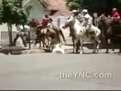 Pit Bull Attacks Horse Like a Boss