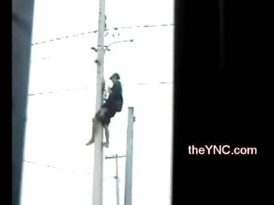 Man Records Bizarre Suicide from Telephone Pole outside his Window and does Nothing to Help or Stop Him.....