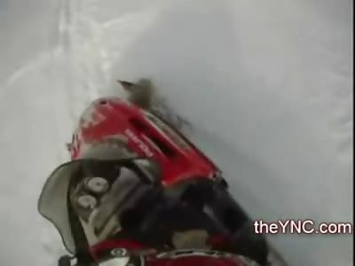 LUNATIC on a Snowmobile Kills Multiple Dogs for Fun