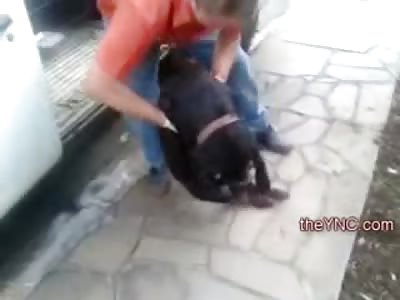 Man on New Year's Eve did this to his Dog in the Street (Video is Graphic and Disturbing to Animal Lovers)