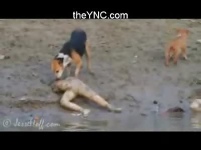 Short Video of a Dog eating the Headless Corpse of a Naked Girl