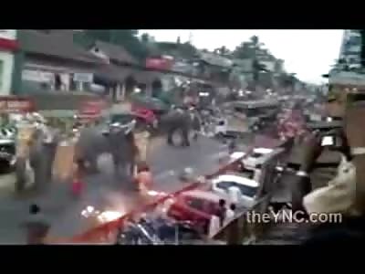 Pissed off Elephants Attack People in the Crowd After Being Forced to Stand for hours in the Scolding Head
