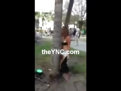 Alone....Crazy Girl strips down to her Black Thong and makes Love to a Tree