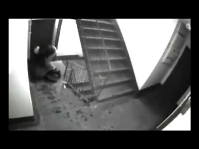 Elderly Woman thrown down Stairs and Kicked to Death by Thief