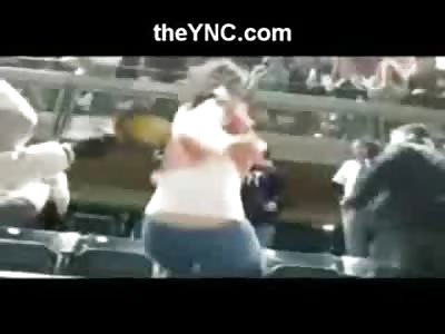 Girl Kicked in the Face at Yankees Game falls on her Ass in the Stands