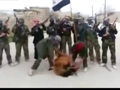 PRACTICE? Arab Men Behead Cow in Weird Terrorist Style Execution