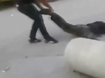 Dragging his Homeboy from the Gunfire