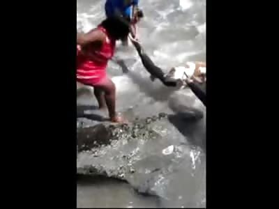 Pit-bull of Astronaut Mark Kelly Attacks and Kills a Baby Seal.... WTF is that Black Woman Doing