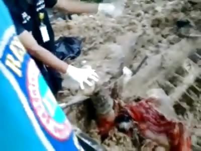 EXTRAORDINARY Video of Man Grinded to Death inside a Clay Crushing Machine (Watch Full Video for Body Removal)