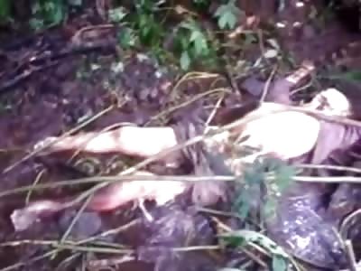Half Naked Woman thrown to the Side of the Road had Flesh on her Face Eaten by Animals