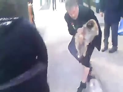 Pitbull Attacks Little Dog on the Streets of NYC Causing Chaotic Frantic Scene