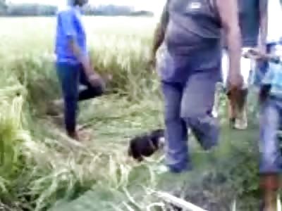 Man Brutally Beaten in the Head with a Stick is Left for Dead in a Field 