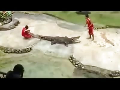 Its all Fun and Games until the Crocodile has Had Enough....Part 2