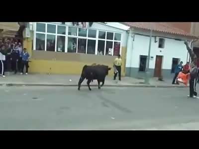 Bull Going Crazy Gets it in on Man in Yellow Shirt