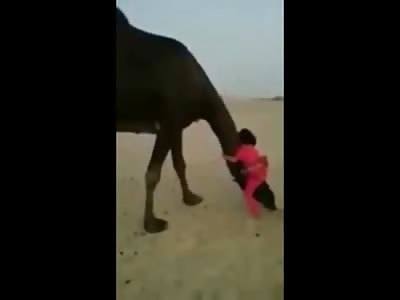 Muslim Dad nearly Kills his Daughter by Camel
