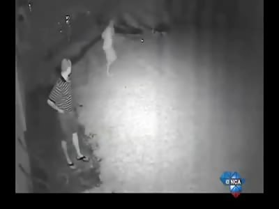 Man Video Surveillance Captures Thieves Crawling in his Yard then Jumping up to Attack and Stab Him