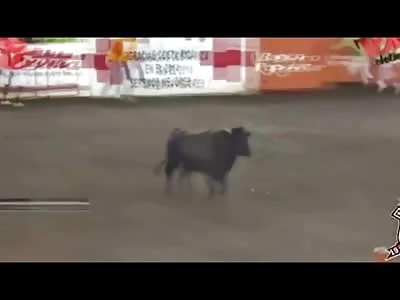 Woman from the Audience runs out into the Bull Ring and gets Promptly Removed