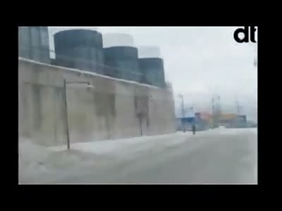 MOOSE SUICIDE: Sad Video Shows Scared and Confused Moose Jump from Roof of Building eventually Having to be Put Down