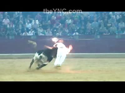 Bull with it's Horns Lit on Fire Gets the Best of This Guy