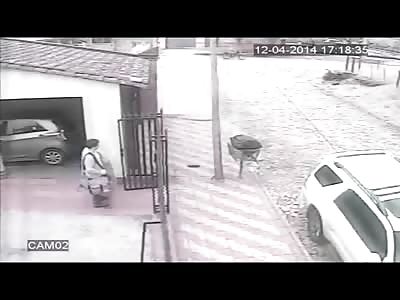 Man Runs into the Garage as his Wife is Violently Robbed and Knocked Out in the Street