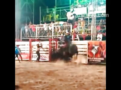 One Head Stomp from a Bull is all it Takes to Send you to Meet your Maker
