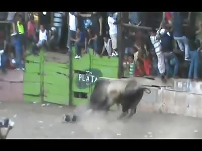 Drunken Man Slips and Falls in Front of a Bull then goes for a Magical Ride through the Air (Watch Slow motion) 
