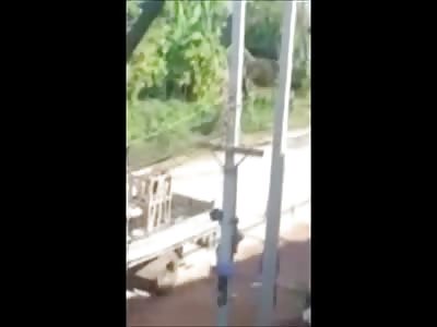Man Flailing as he is Electrocuted to Death on Power Lines..Cut Down while Still Smoldering