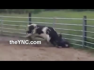 Moron Pretending to Be Bull Fighter gets His Head Busted Open Badly..