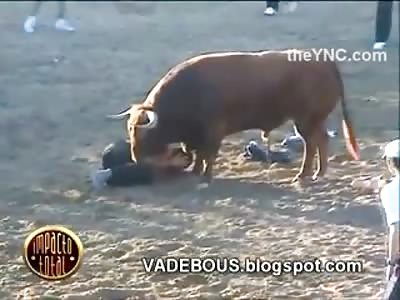 Man goes into Fetal Position and Prays for 2 Minutes that the Bull Wont Kill Him 