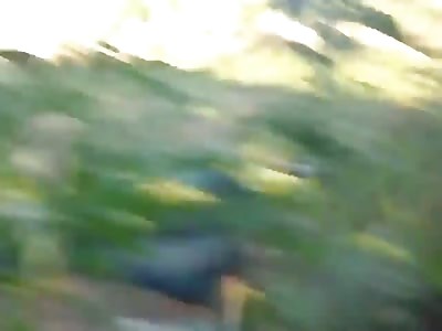 Kids Throwing Grenades Into A Massive Field Of Pot Plants ( Stoners Beware, Graphic Content!)