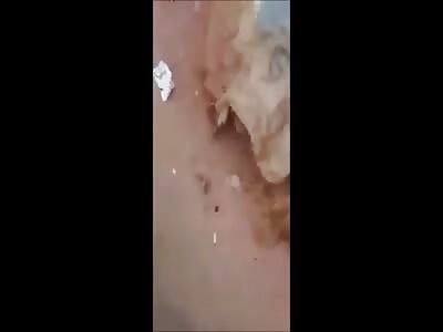 Brutal Execution in Brazilian Favela: Scared Man Tries to Flee but is Chased and Killed by Drug dealers