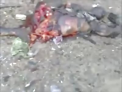 Mutilated bodies everywhere: Graphic footage few minutes after the terrorist attack who killed 71 in Africa